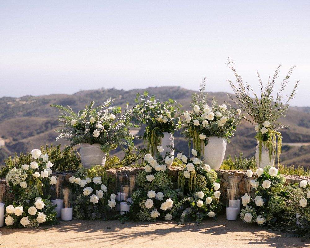 Nicole & David Proposal